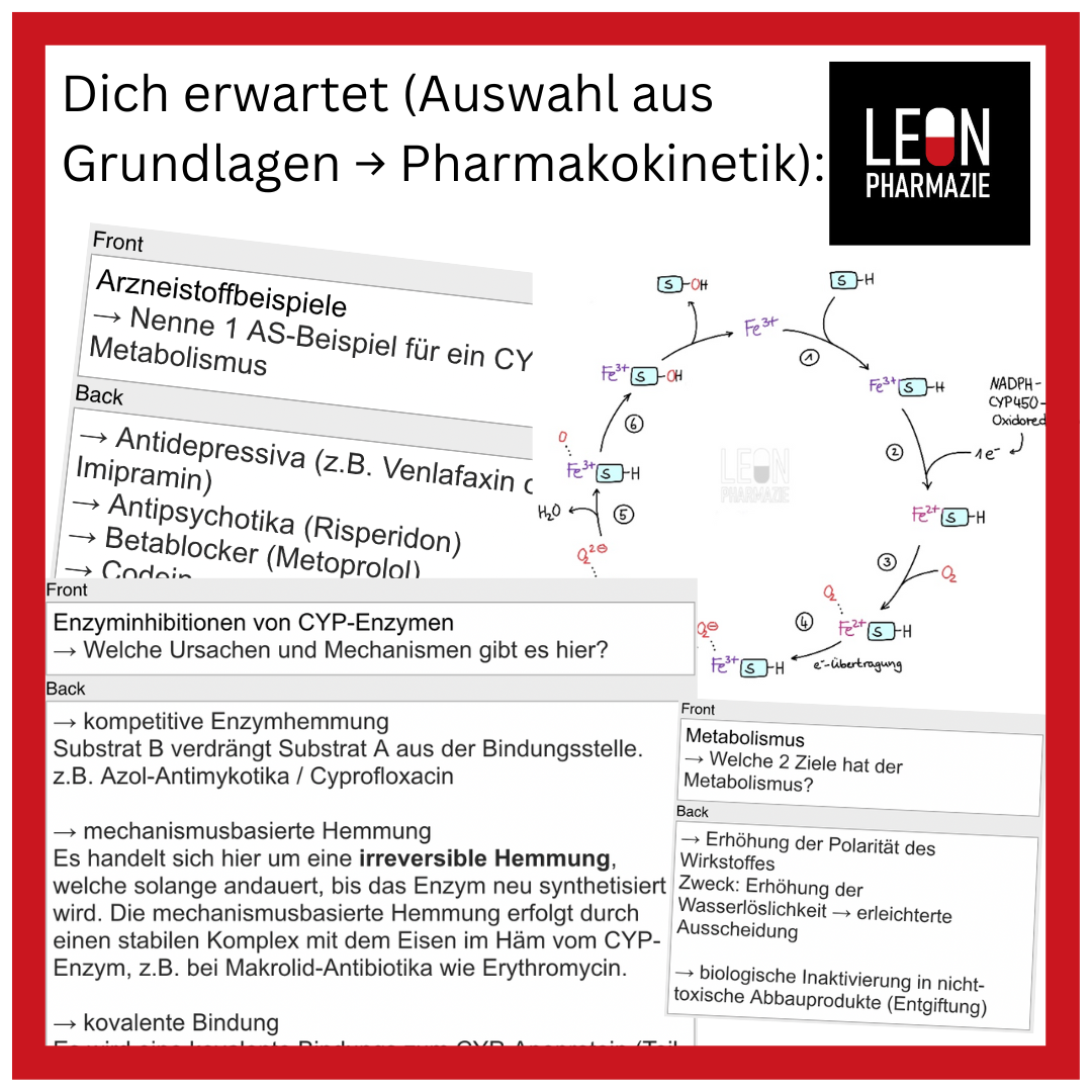 Basisset Pharmakologie PLUS - 860 Karteikarten