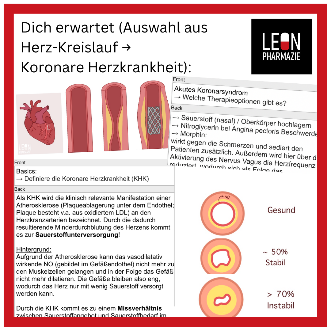 Basisset Pharmakologie PLUS - 860 Karteikarten