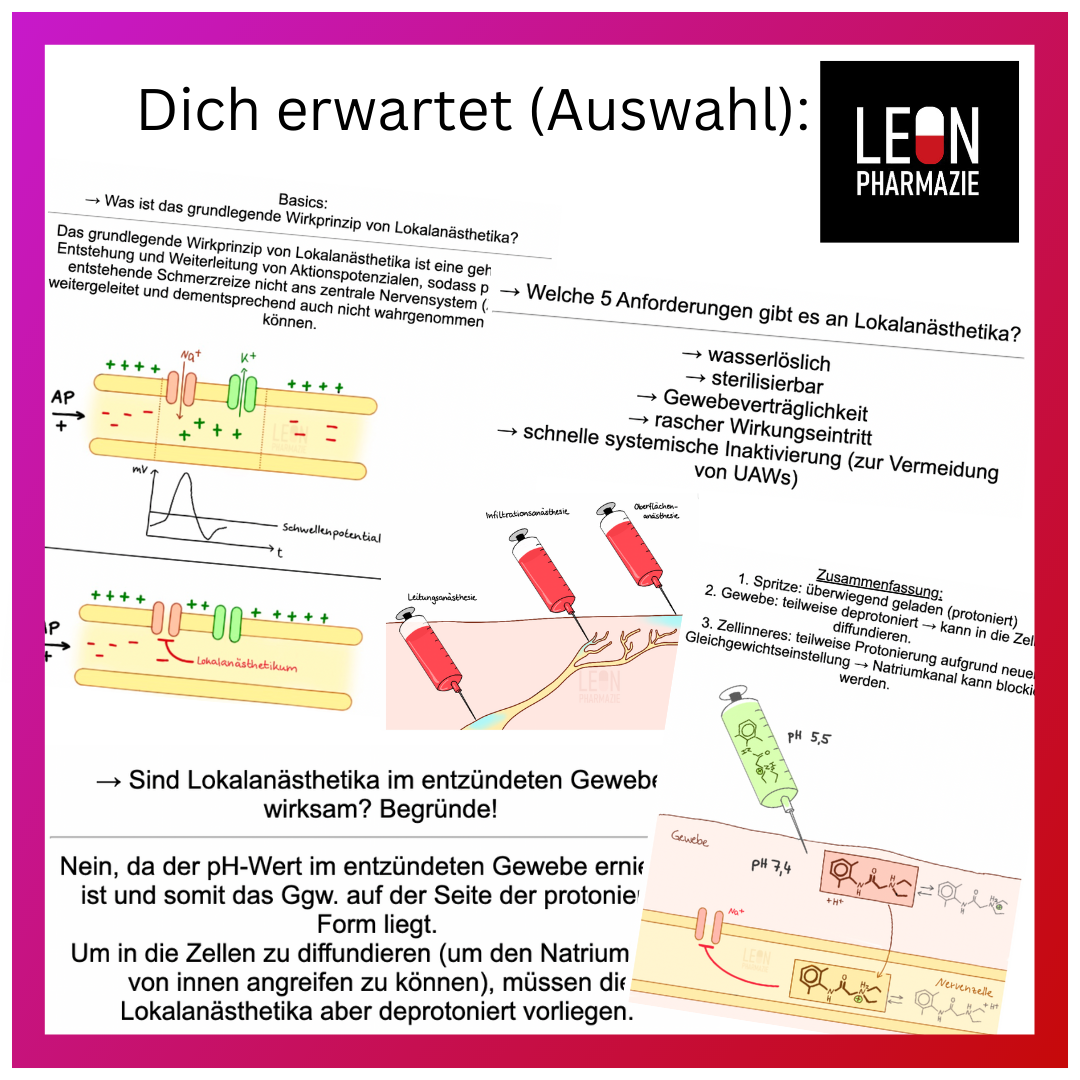 Testversion Vertiefungsset Pharmakologie - 16 Karteikarten