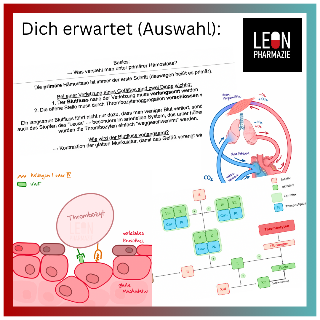 Blut / GIT / Diabetes (Themenkomplex) - 237 Karteikarten