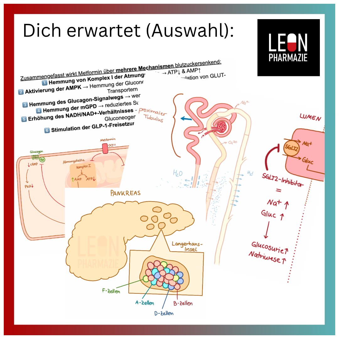 Blut / GIT / Diabetes (Themenkomplex) - 237 Karteikarten
