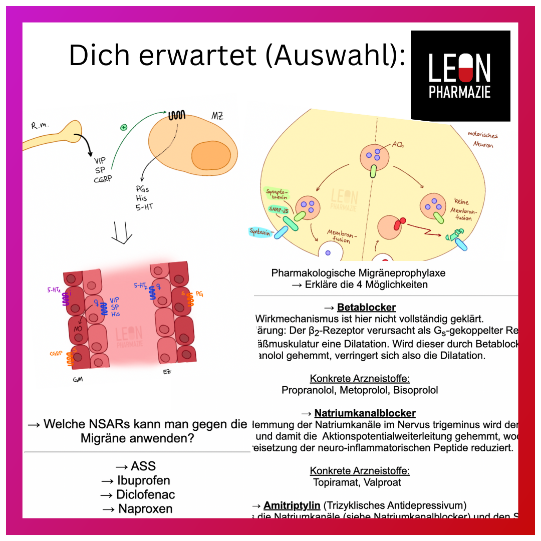 Migränemittel (Einzelthema) - 14 Karteikarten