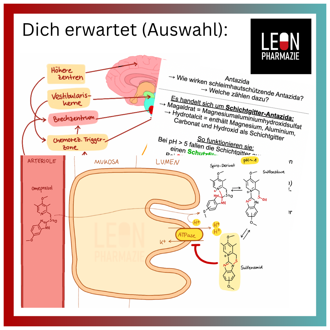 Blut / GIT / Diabetes (Themenkomplex) - 237 Karteikarten