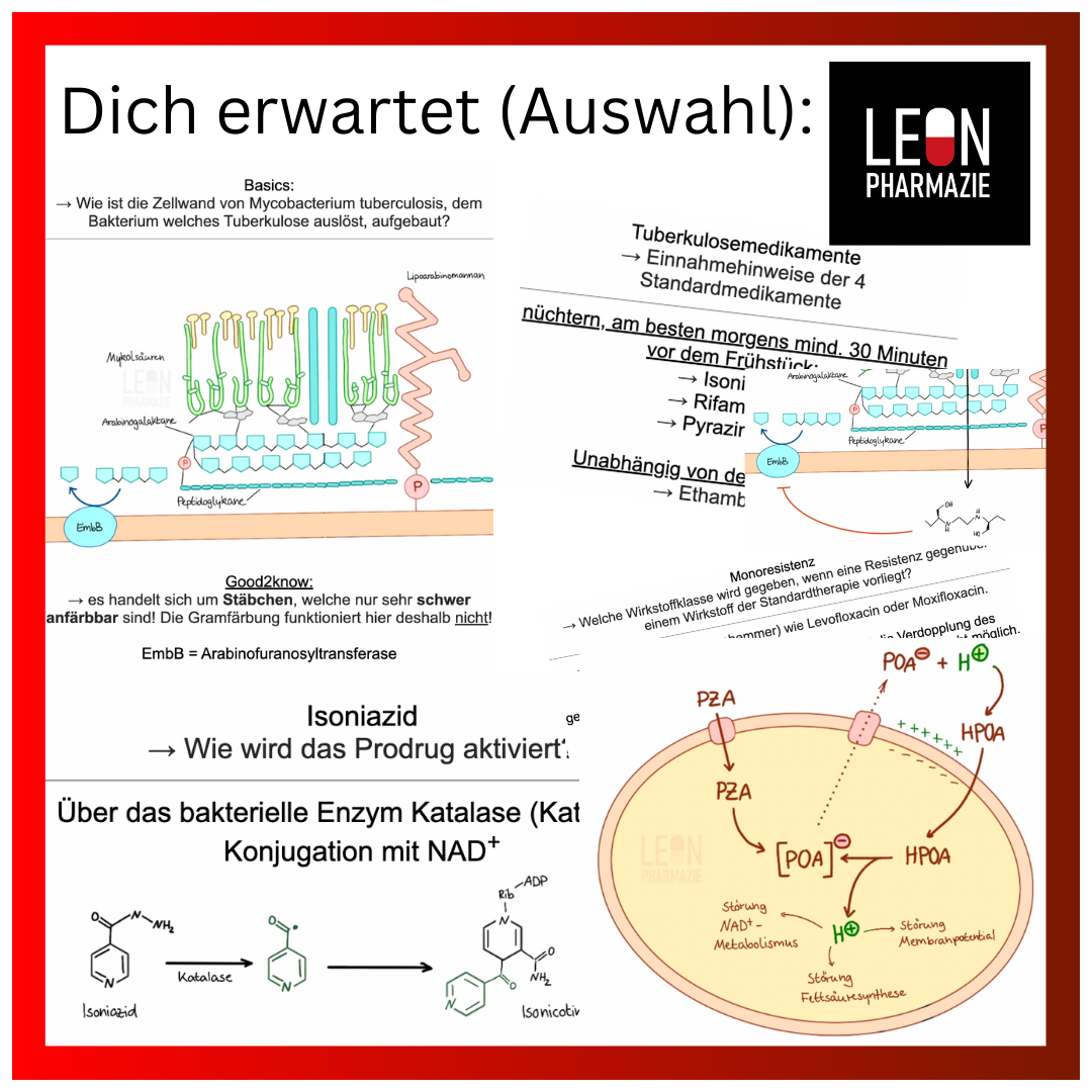 Vertiefungsset Pharmakologie - 478 Karteikarten
