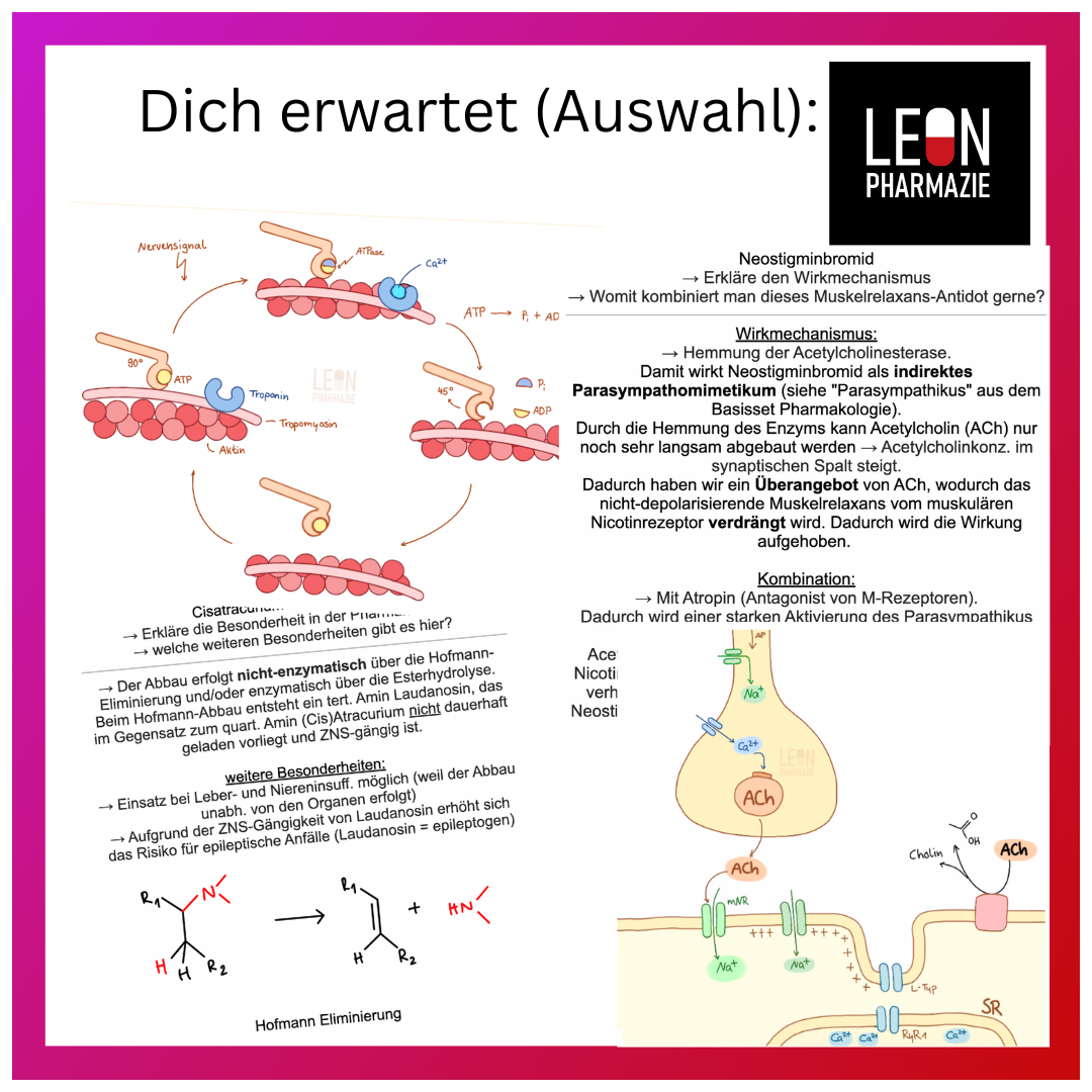 Muskelrelaxanzien (Einzelthema) - 24 Karteikarten