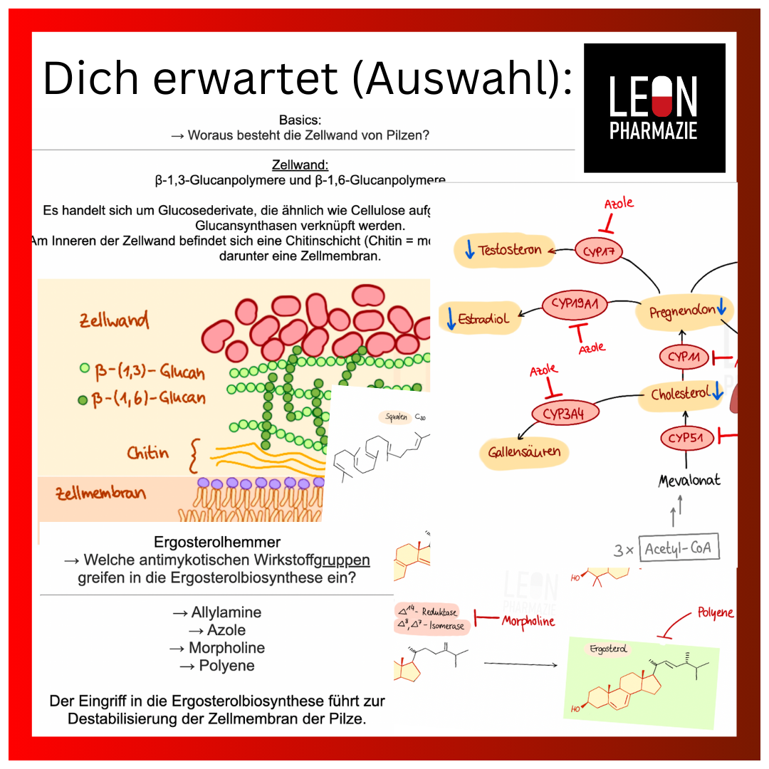 Vertiefungsset Pharmakologie - 478 Karteikarten