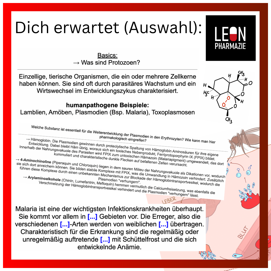 Vertiefungsset Pharmakologie - 478 Karteikarten