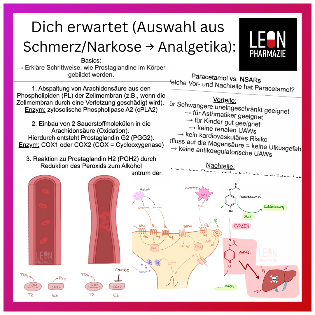 Basisset Pharmakologie PLUS - 860 Karteikarten
