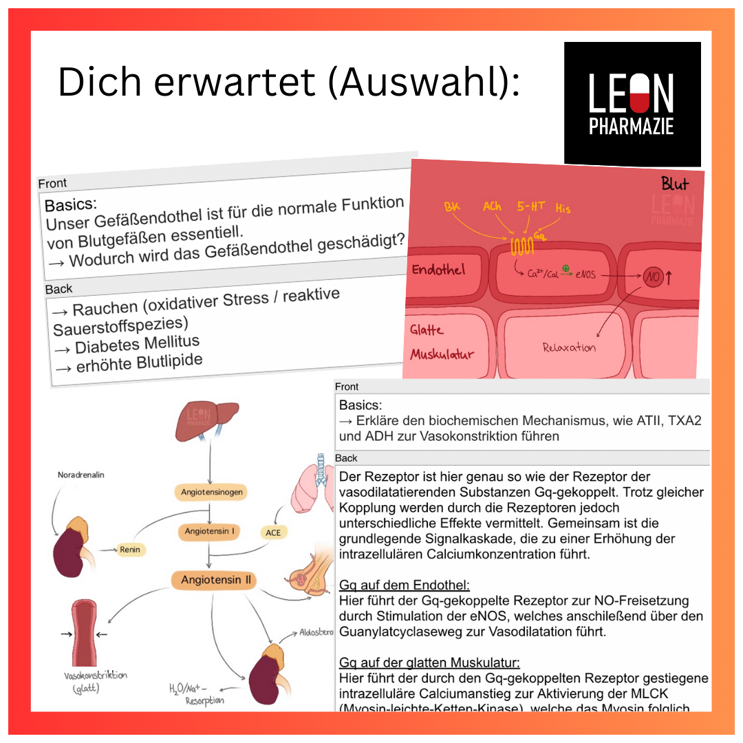 Testversion Basisset Pharmakologie - 33 Karteikarten