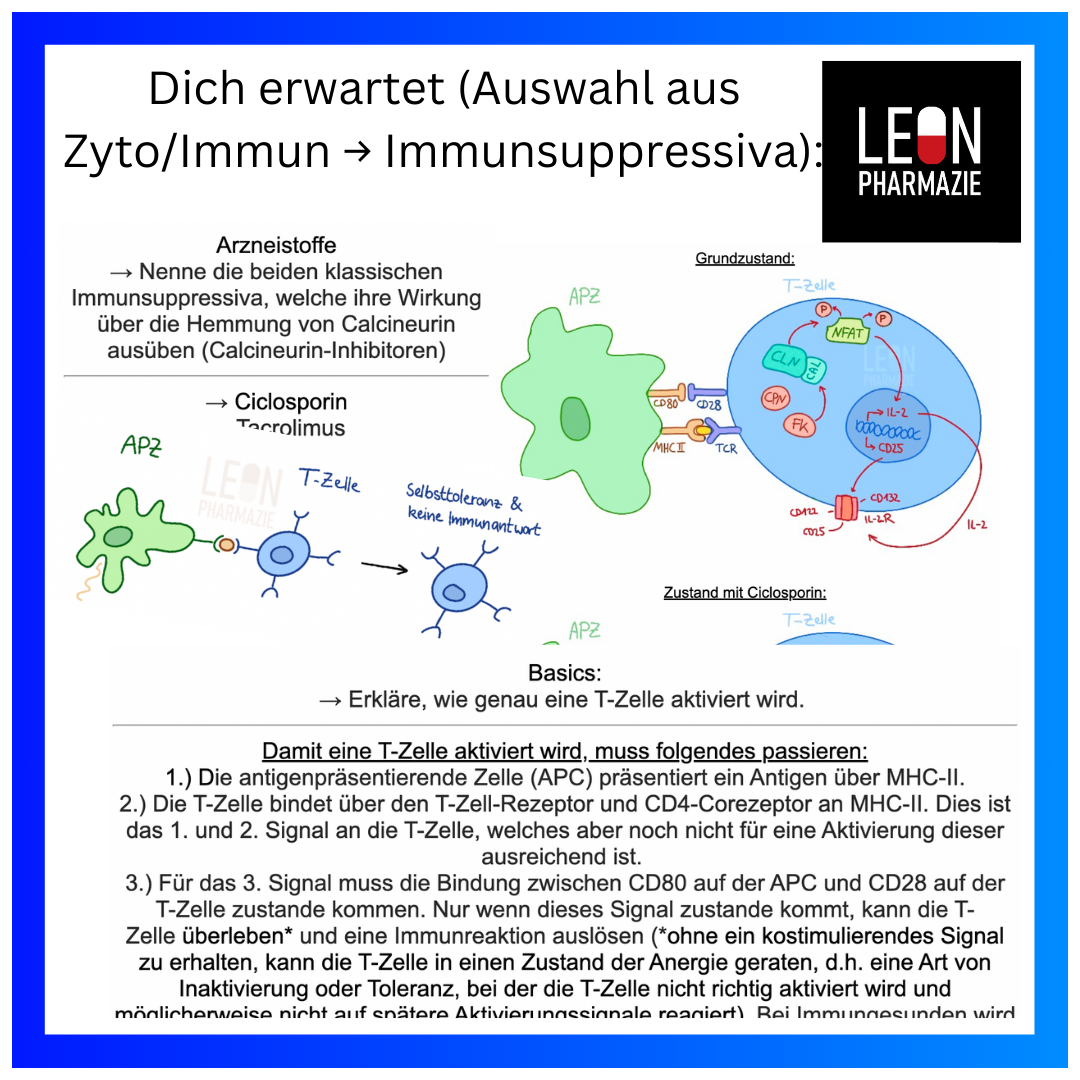 Vertiefungsset Pharmakologie - 478 Karteikarten
