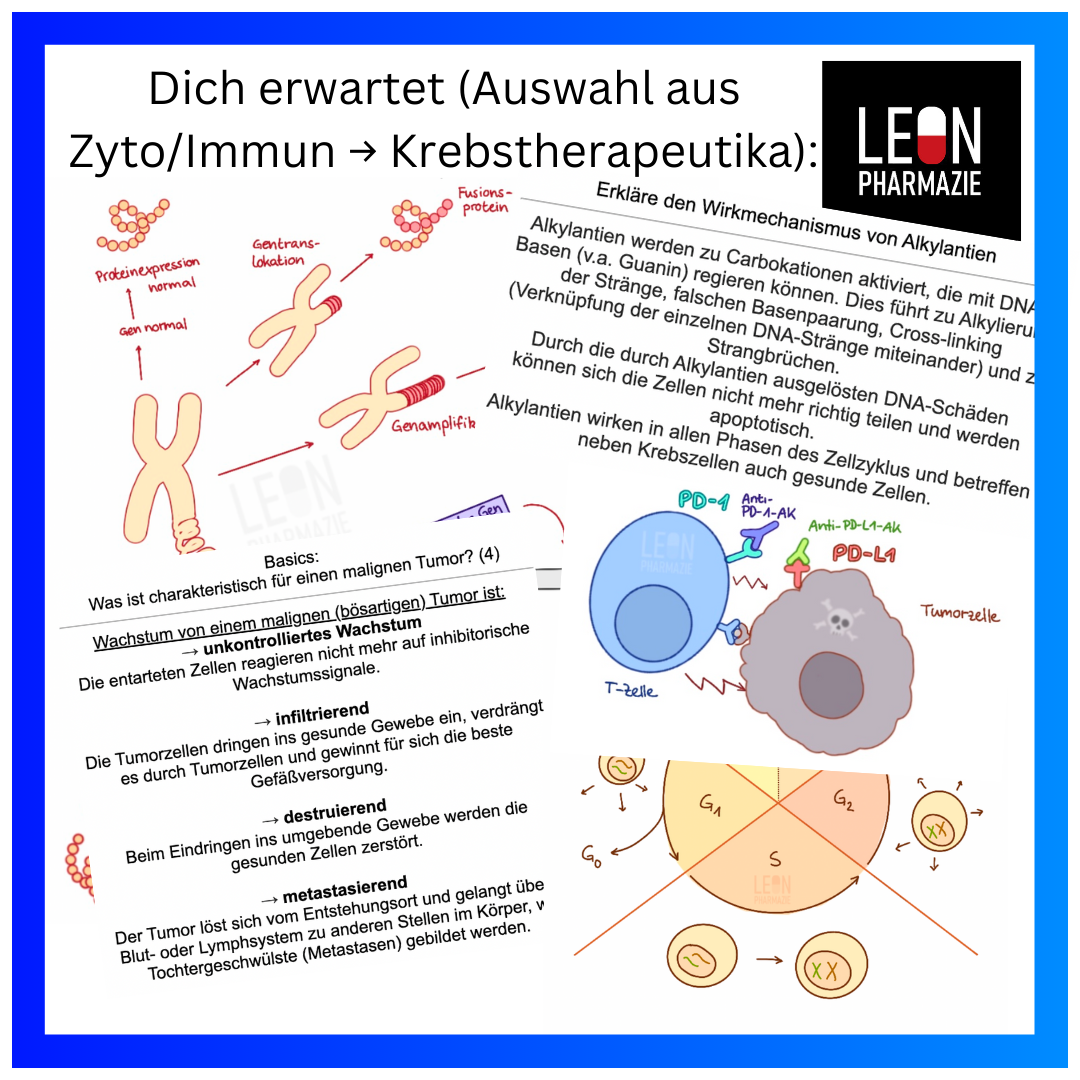 Vertiefungsset Pharmakologie - 478 Karteikarten