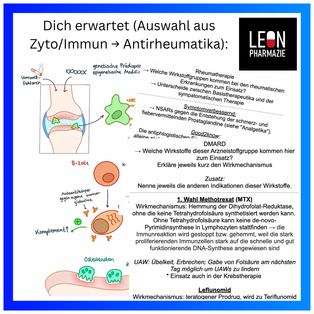 Vertiefungsset Pharmakologie - 478 Karteikarten