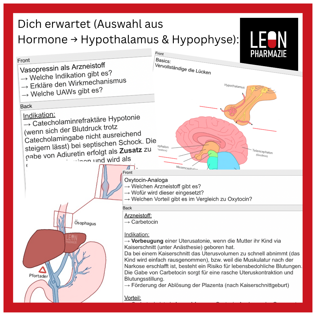Basisset Pharmakologie PLUS - 860 Karteikarten