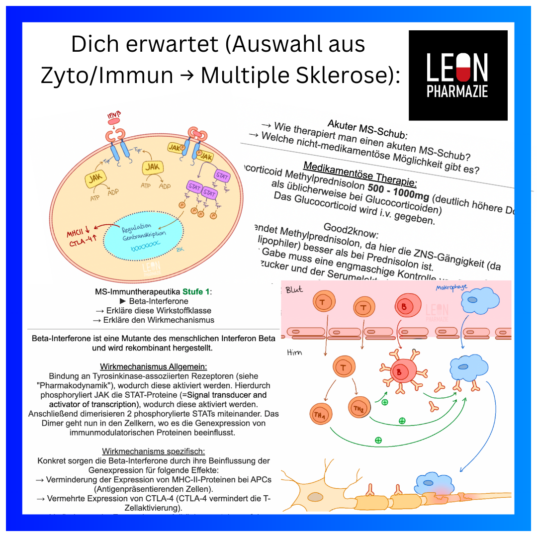 Multiple Sklerose (Einzelthema) - 38 Karteikarten