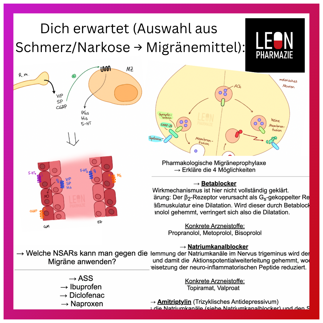 Basisset Pharmakologie PLUS - 860 Karteikarten