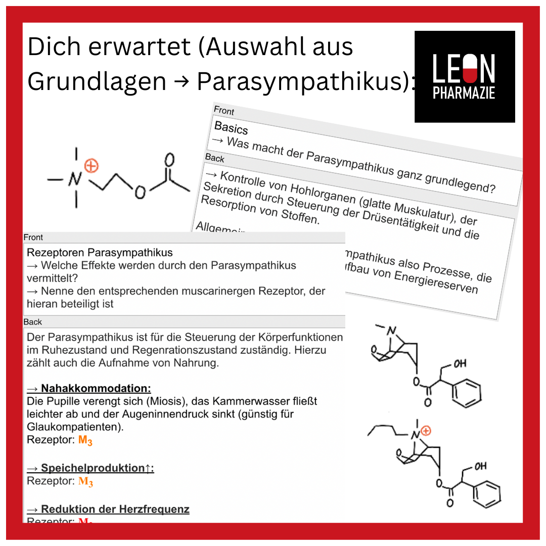 Basisset Pharmakologie PLUS - 860 Karteikarten
