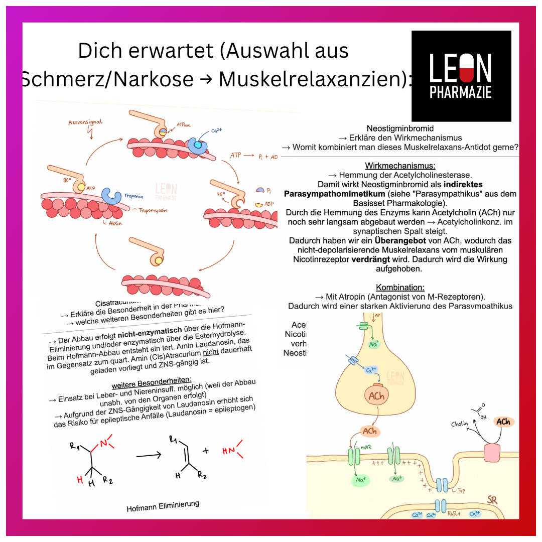 Basisset Pharmakologie PLUS - 860 Karteikarten