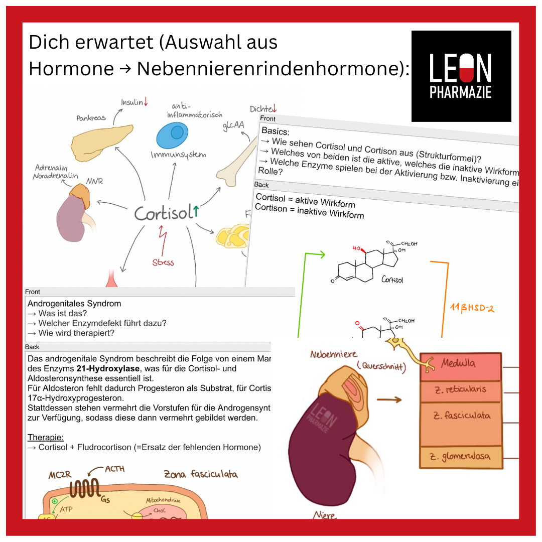 Basisset Pharmakologie PLUS - 860 Karteikarten
