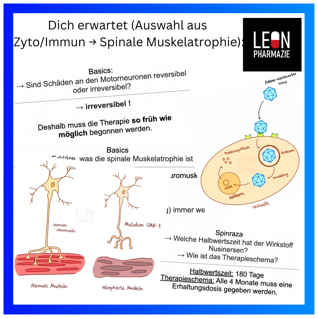 Zyto/Immun (Themenkomplex) - 155 Karteikarten