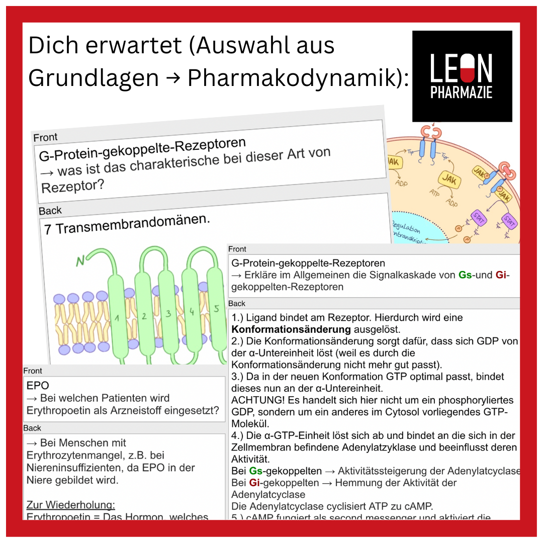 Basisset Pharmakologie PLUS - 860 Karteikarten