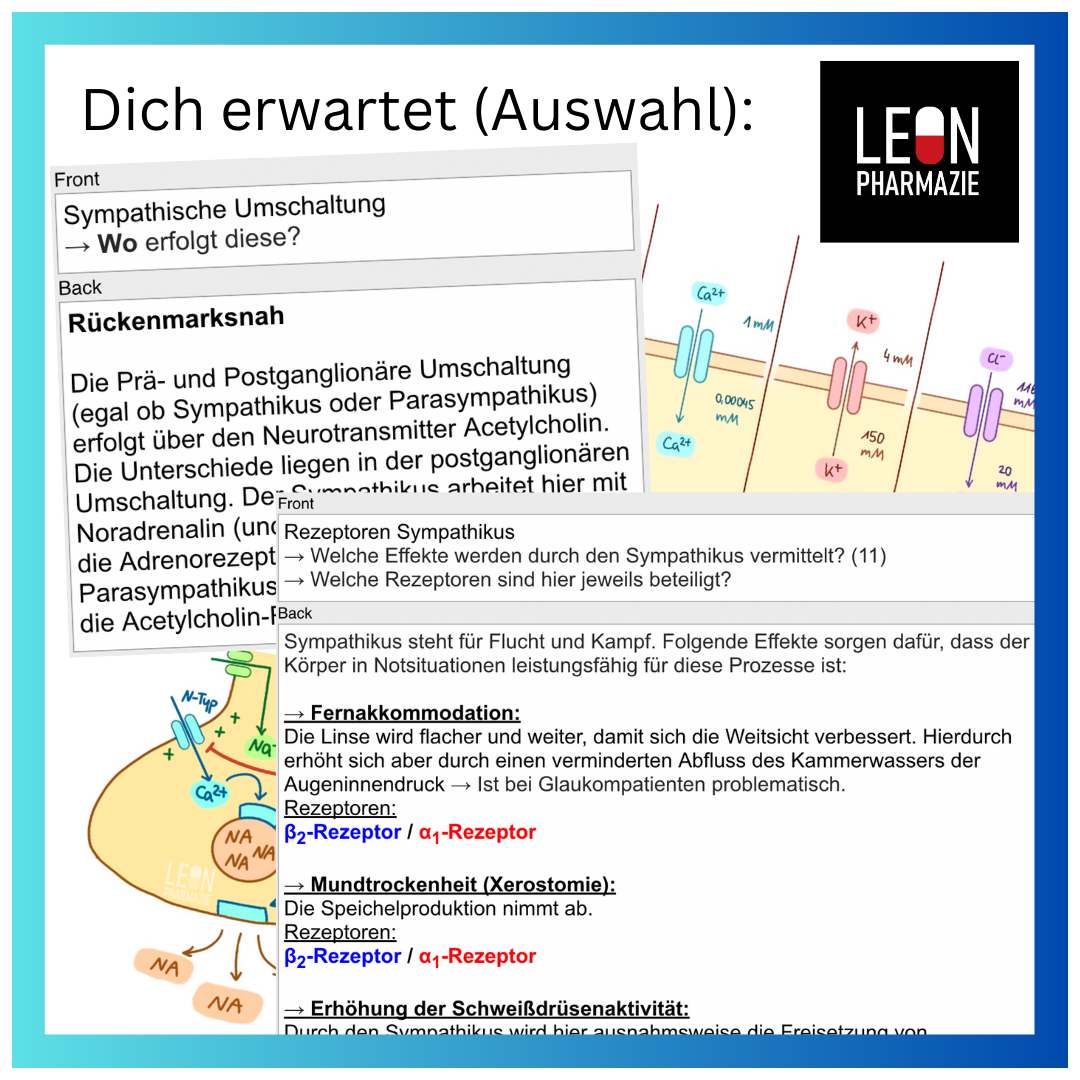Grundlagen (Themenkomplex) - 120 Karteikarten