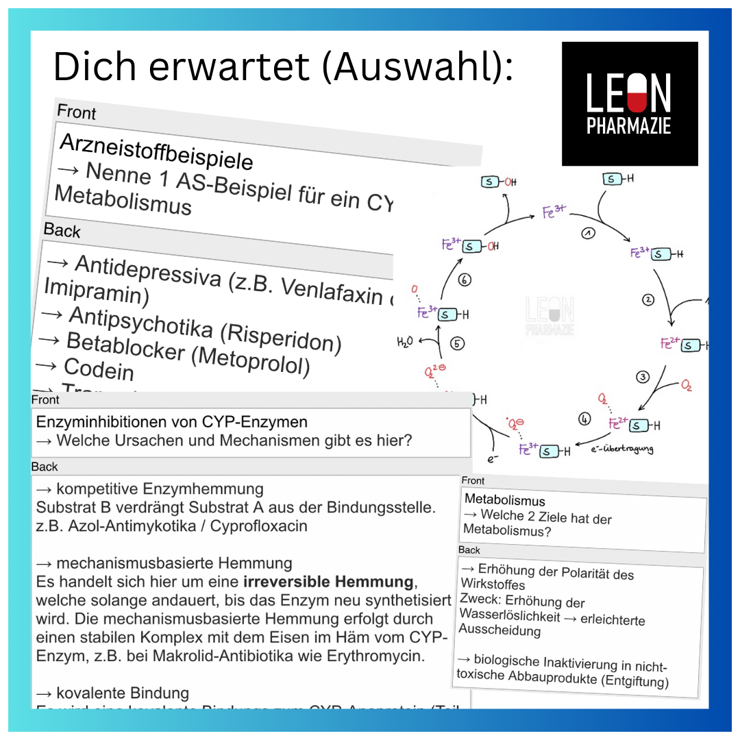 Grundlagen (Themenkomplex) - 120 Karteikarten