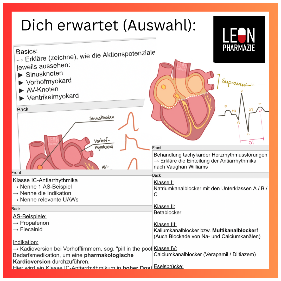 Herz-Kreislauf (Themenkomplex) - 205 Karteikarten