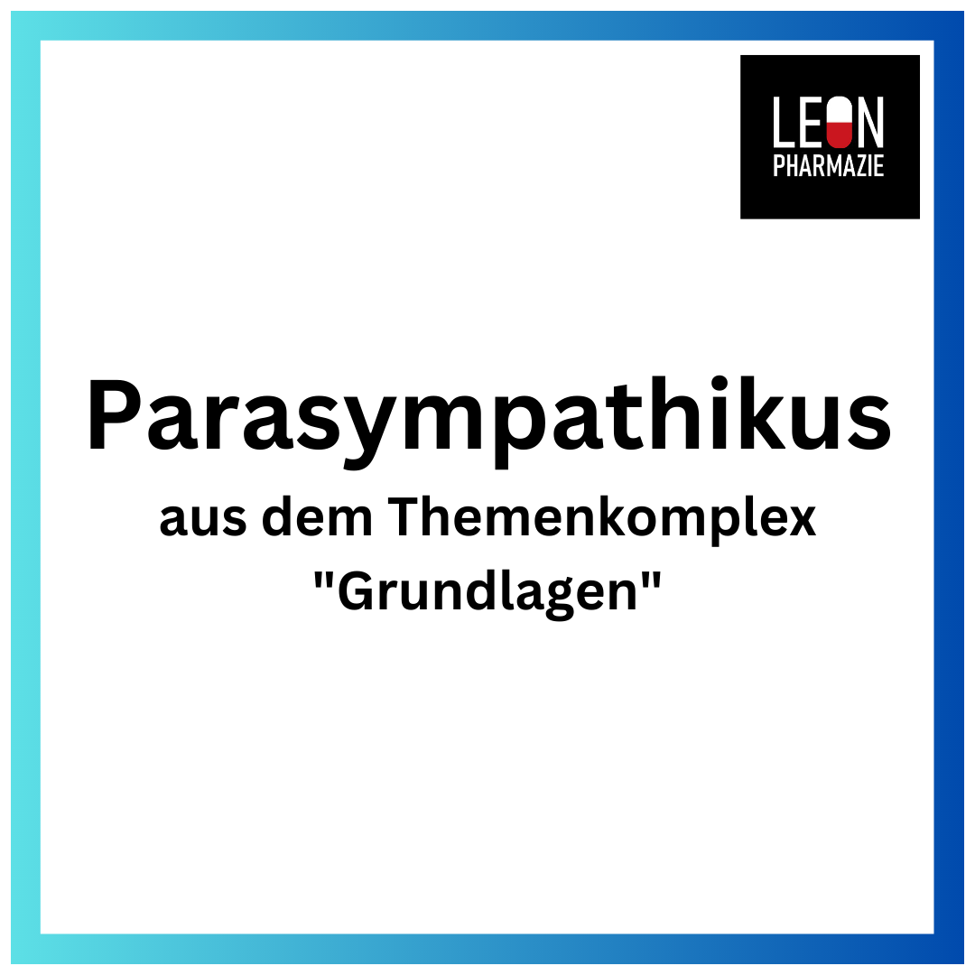 Parasympathikus (Einzelthema) - 25 Karteikarten