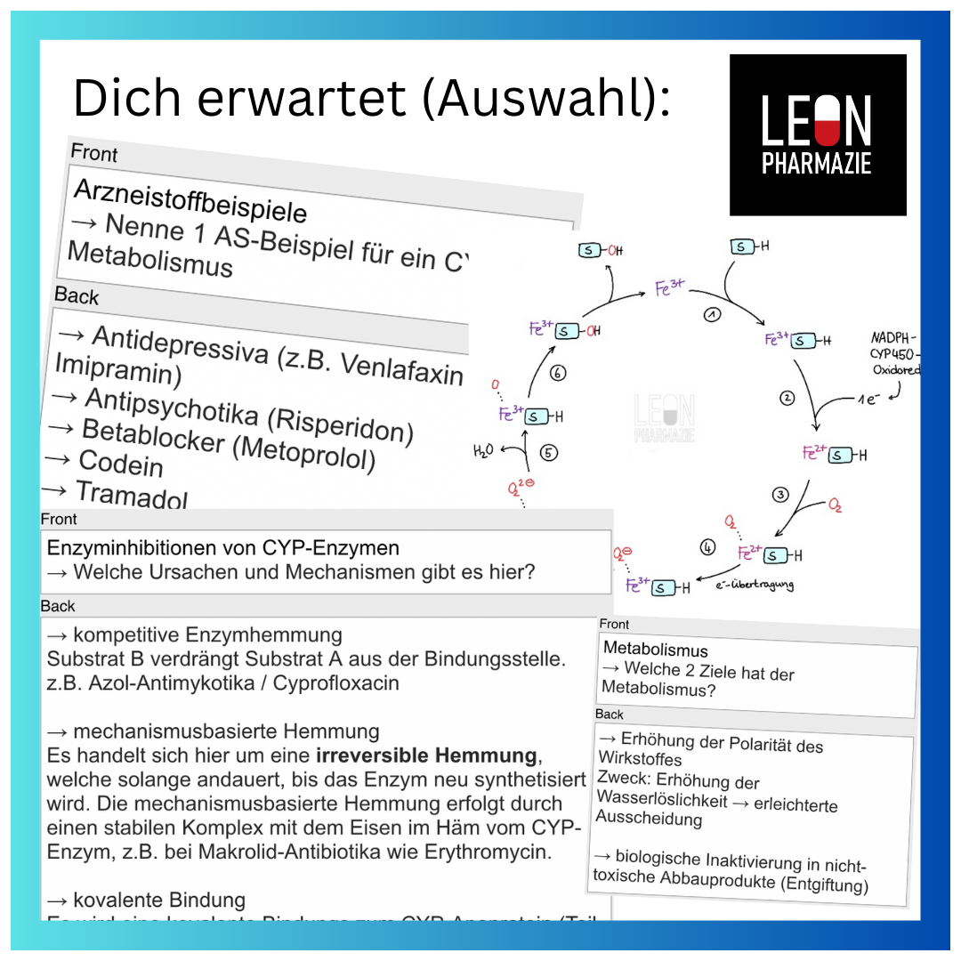 Pharmakokinetik (Einzelthema) - 34 Karteikarten