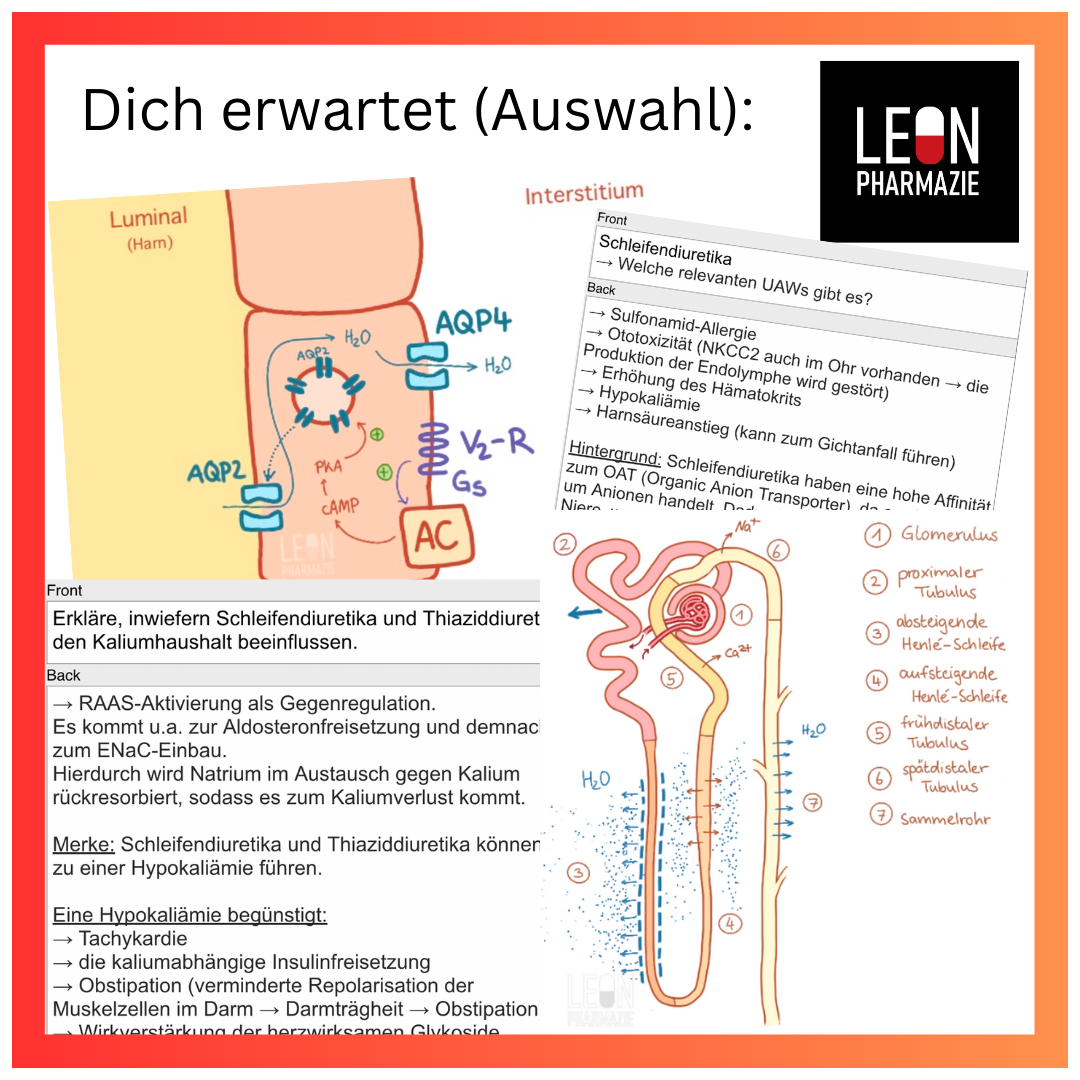 Diuretika (Einzelthema) - 21 Karteikarten