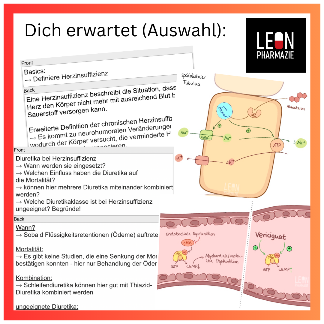 Herzinsuffizienz (Einzelthema) - 38 Karteikarten