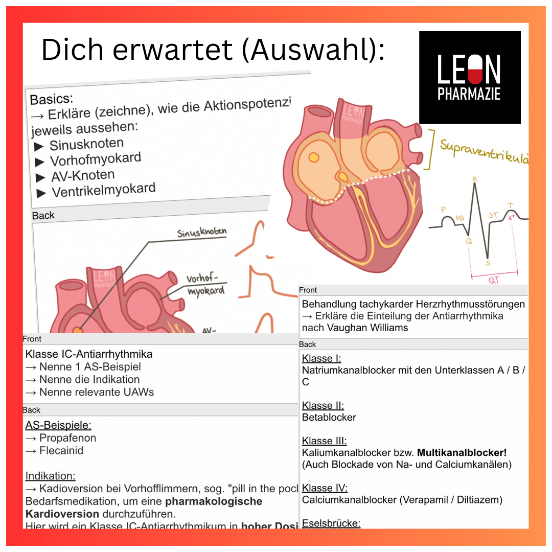 Antiarrhythmika (Einzelthema) - 79 Karteikarten