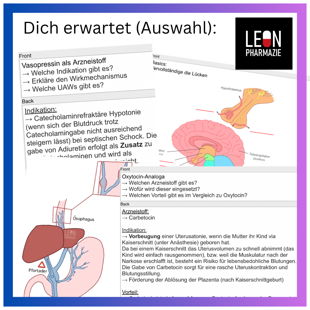 Hypothalamus & Hypophyse (Einzelthema) - 61 Karteikarten