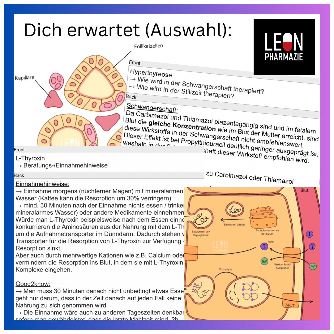 Schilddrüsenhormone (Einzelthema) - 27 Karteikarten
