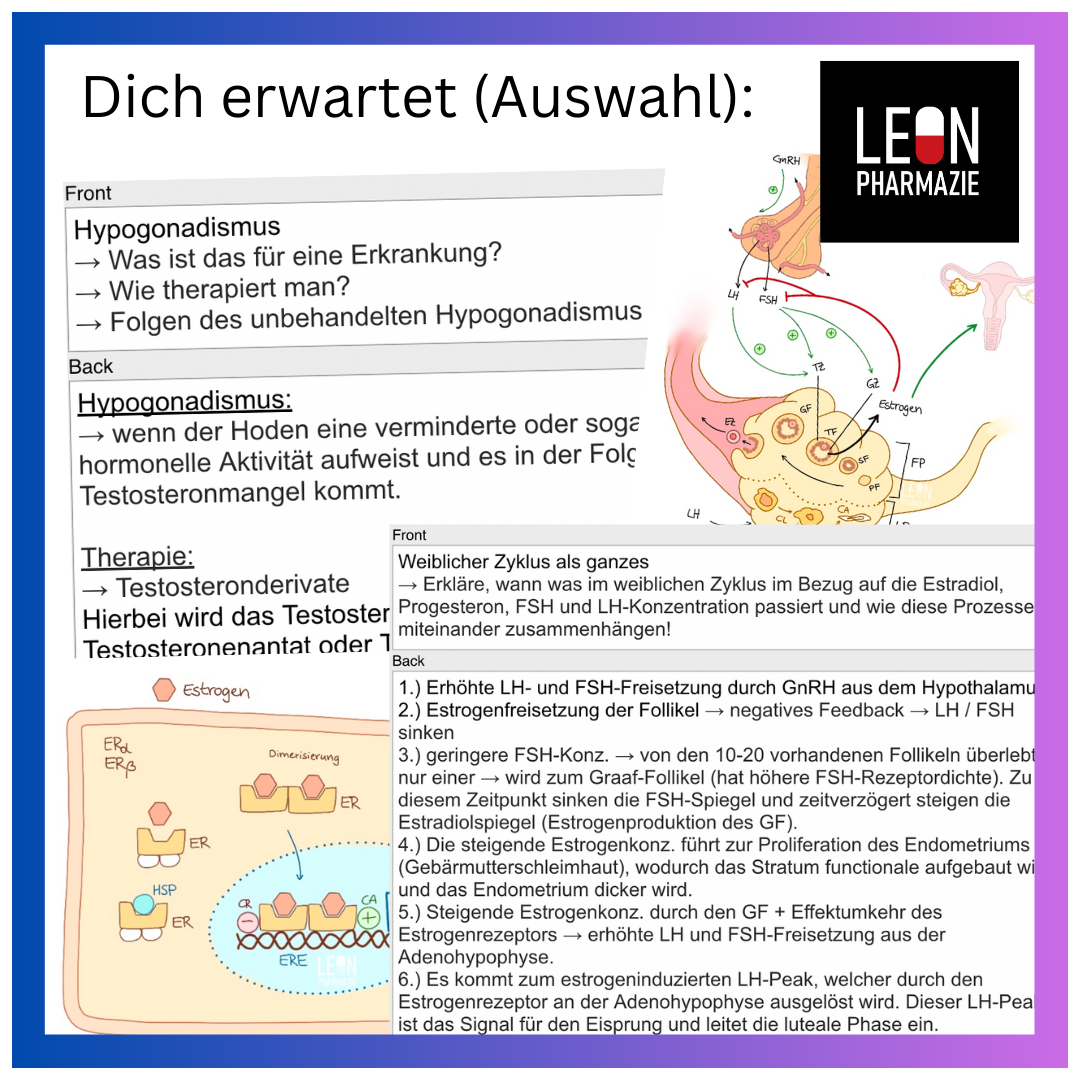 Sexualhormone (Einzelthema) - 77 Karteikarten
