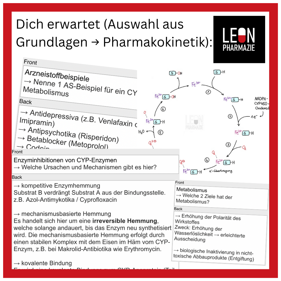 Kombi: Basisset + Vertiefungsset Pharmakologie - 1048 Karteikarten