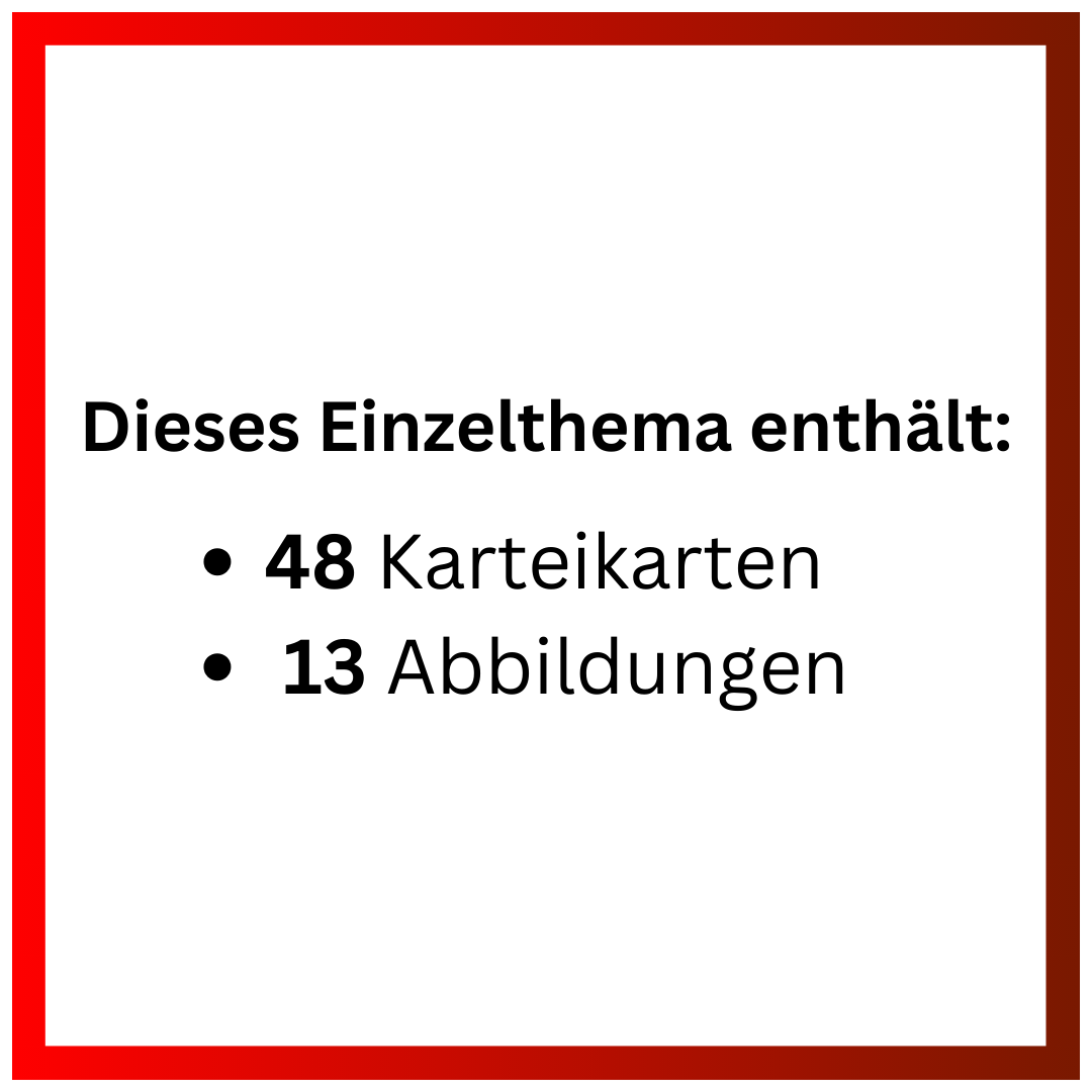 Antibiotika (Einzelthema) - 48 Karteikarten