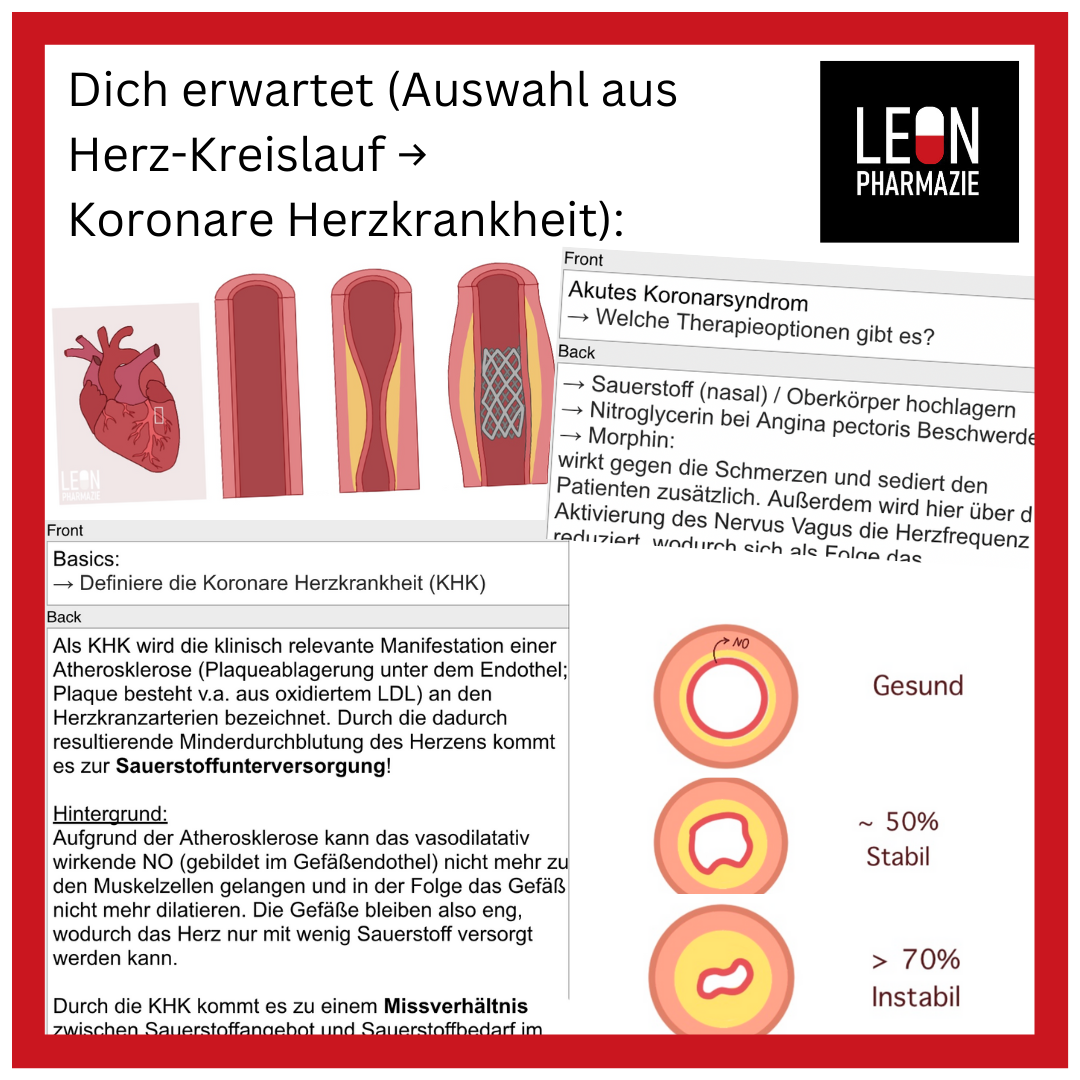 Kombi: Basisset + Vertiefungsset Pharmakologie - 1048 Karteikarten