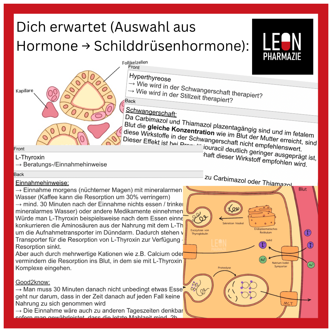 Kombi: Basisset + Vertiefungsset Pharmakologie - 1048 Karteikarten