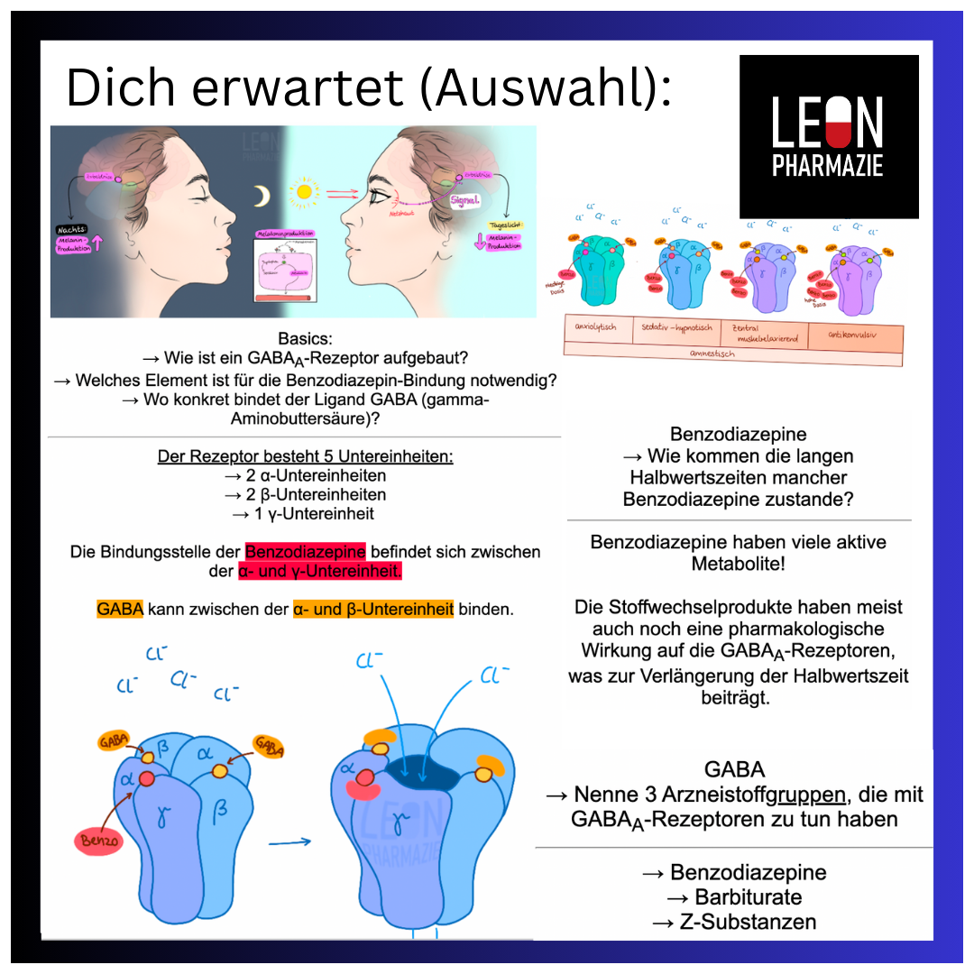 Hypnotika (Einzelthema) - 38 Karteikarten