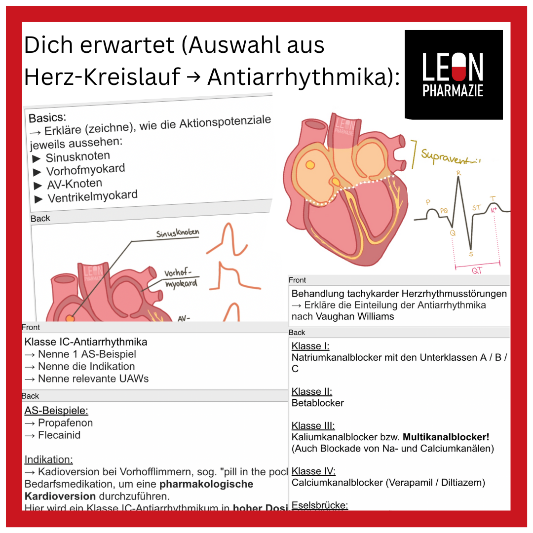 Kombi: Basisset + Vertiefungsset Pharmakologie - 1048 Karteikarten