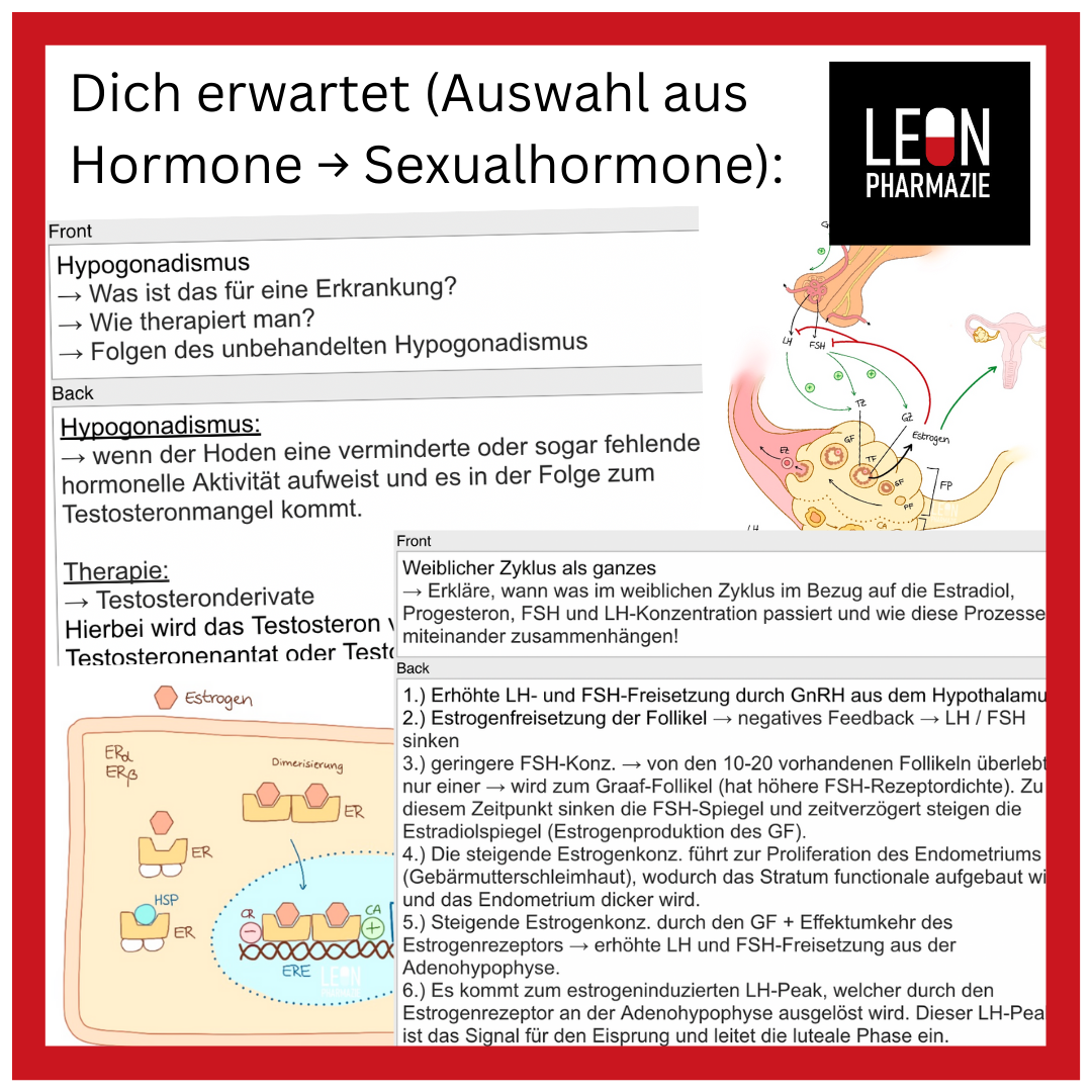 Kombi: Basisset + Vertiefungsset Pharmakologie - 1048 Karteikarten