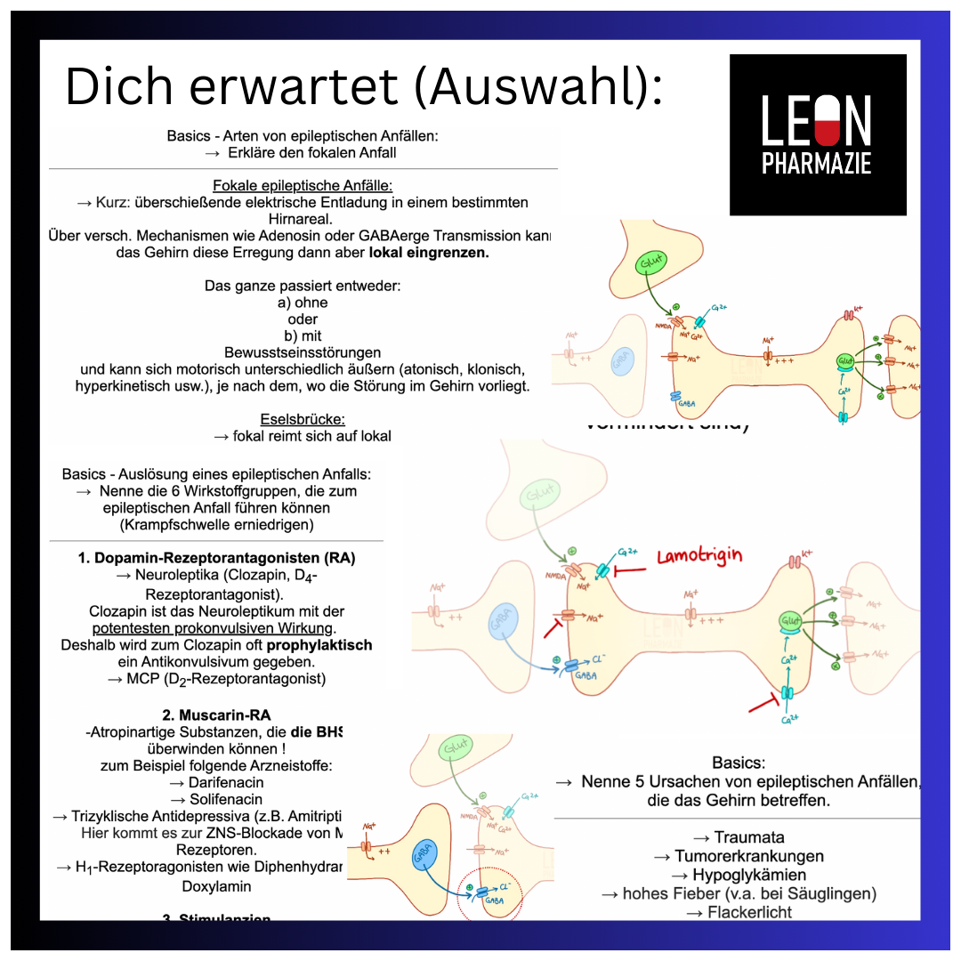 Antiepileptika (Antikonvulsiva) (Einzelthema) - 27 Karteikarten