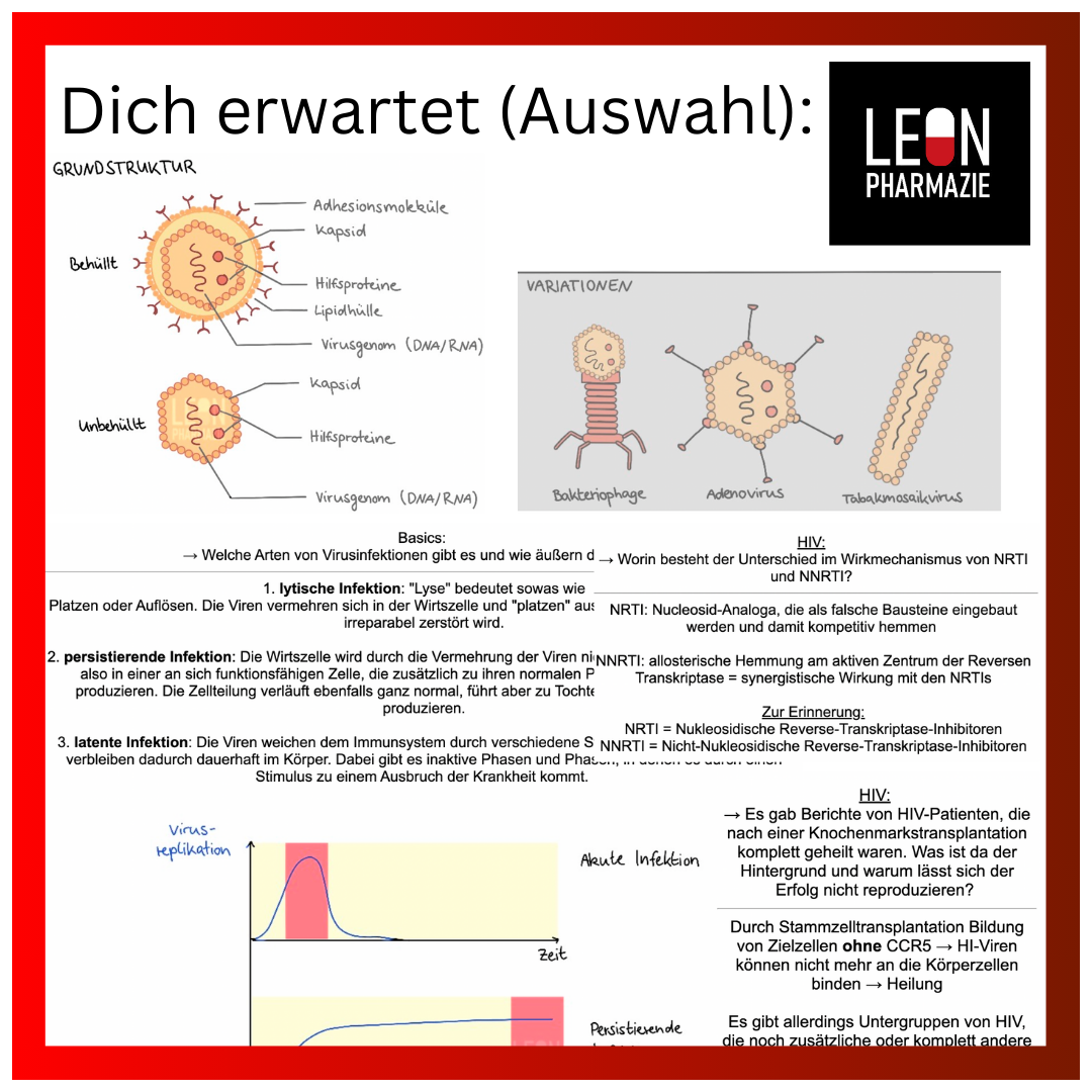 Kombi: Basisset + Vertiefungsset Pharmakologie - 1048 Karteikarten