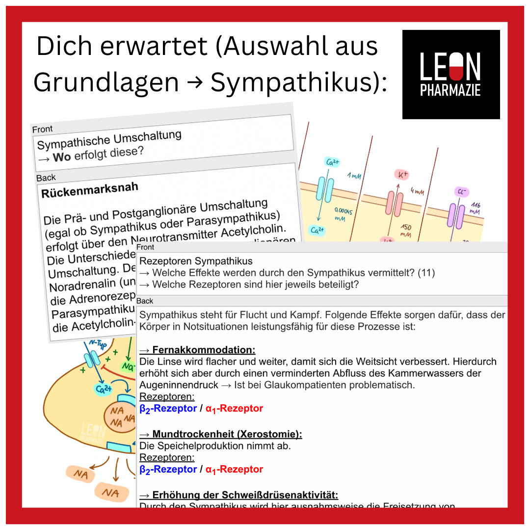 Kombi: Basisset + Vertiefungsset Pharmakologie - 1048 Karteikarten