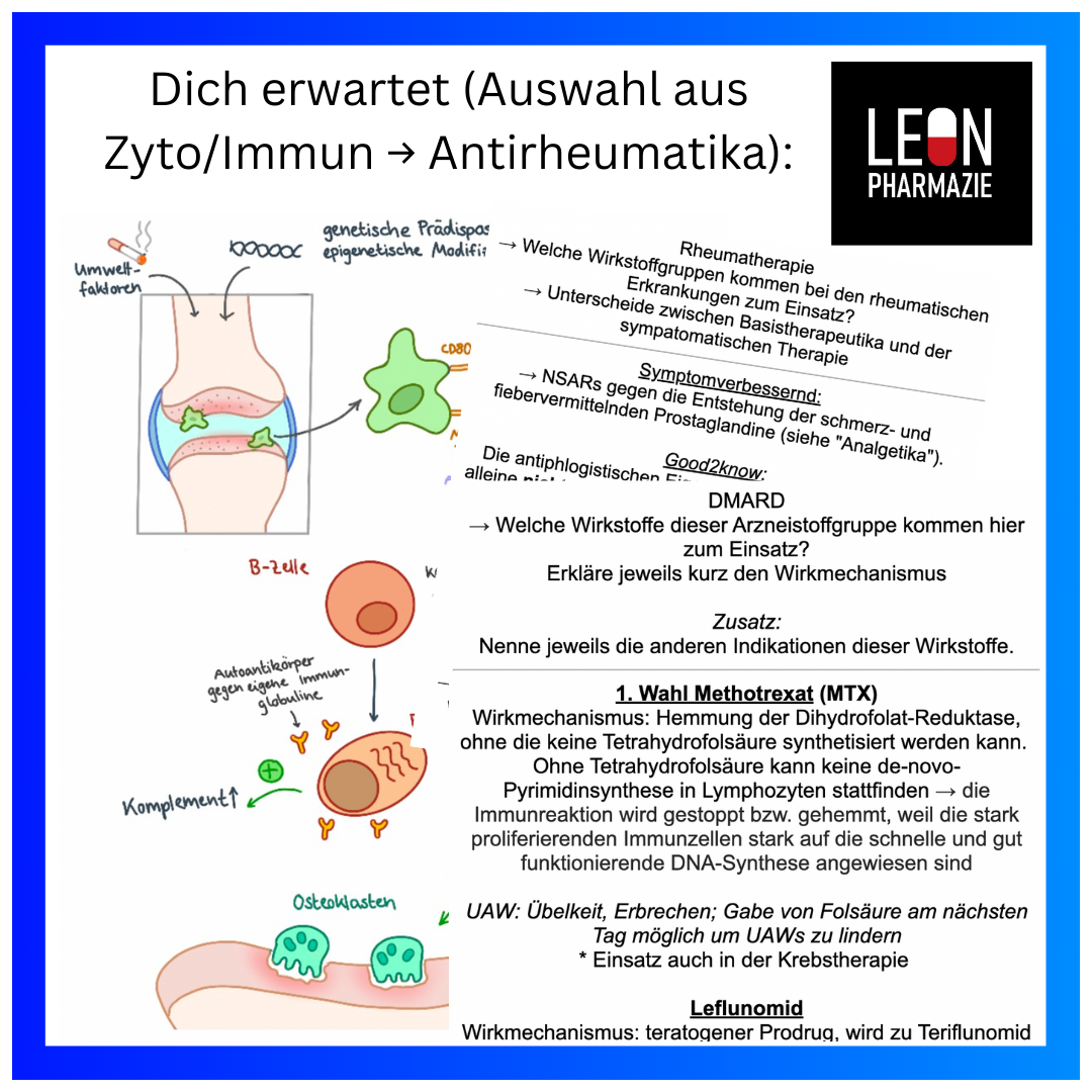 Kombi: Basisset + Vertiefungsset Pharmakologie - 1048 Karteikarten