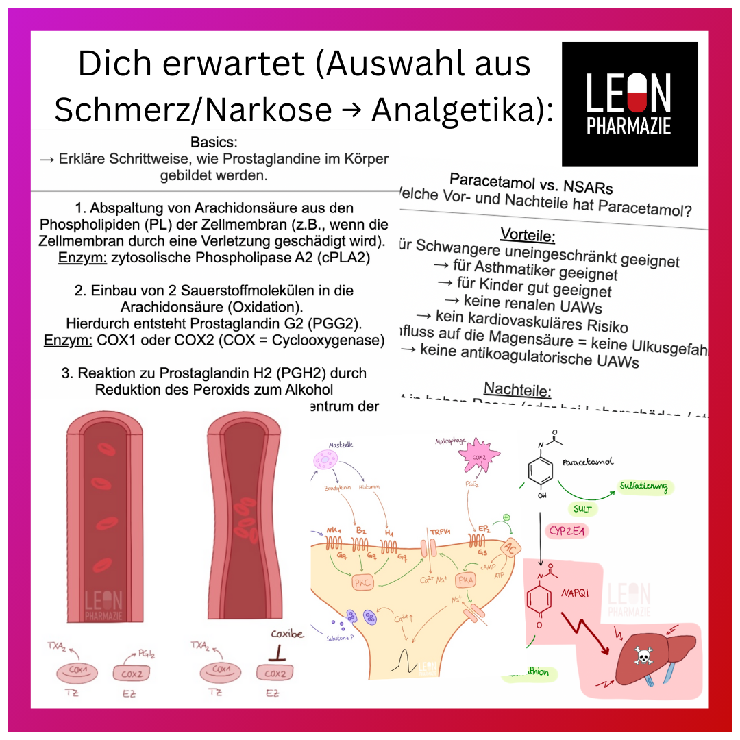 Kombi: Basisset + Vertiefungsset Pharmakologie - 1048 Karteikarten