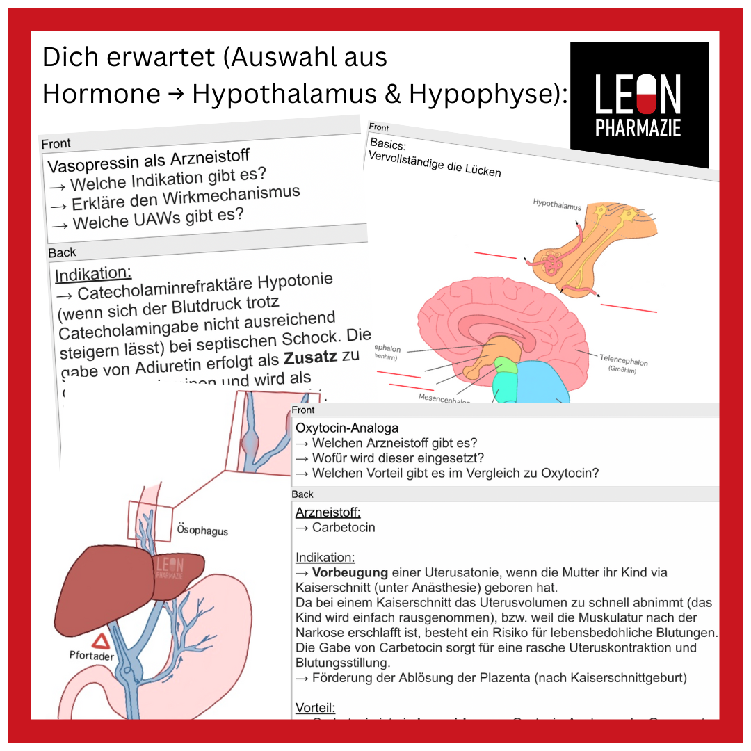 Kombi: Basisset + Vertiefungsset Pharmakologie - 1048 Karteikarten