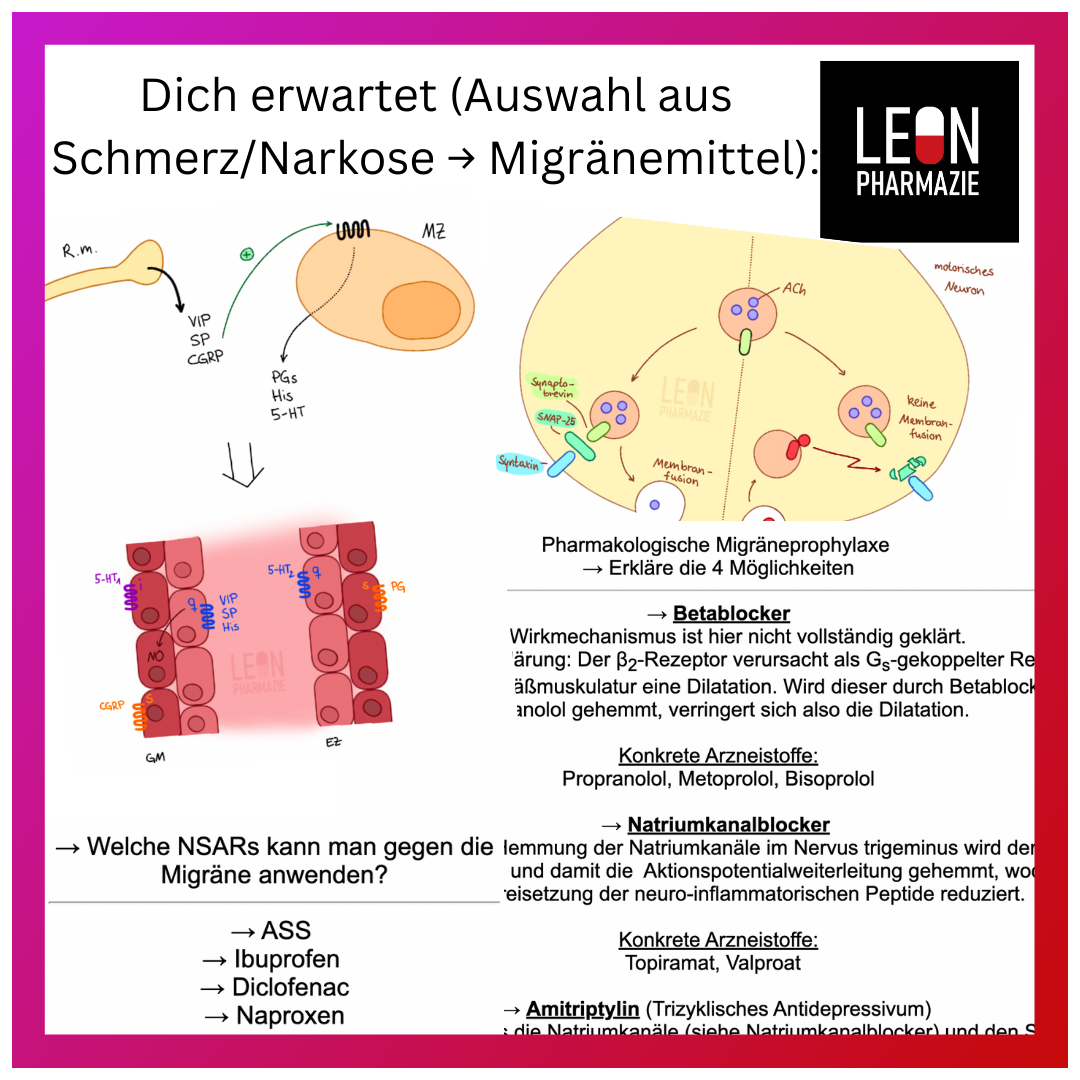 Kombi: Basisset + Vertiefungsset Pharmakologie - 1048 Karteikarten