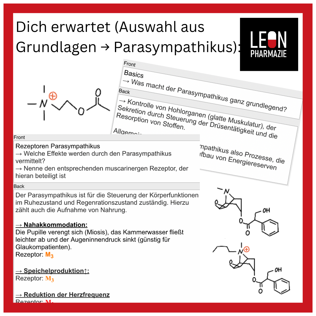 Kombi: Basisset + Vertiefungsset Pharmakologie - 1048 Karteikarten